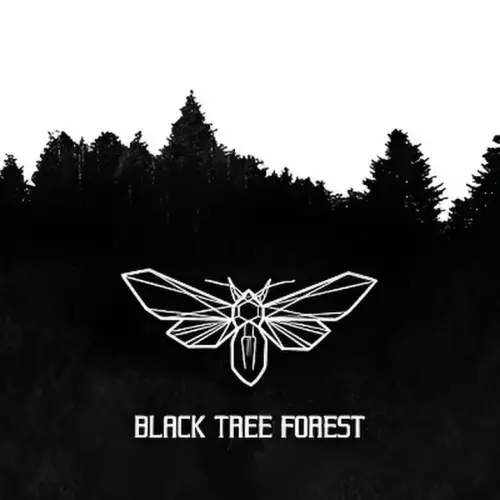 Light The Blind : Black Tree Forest